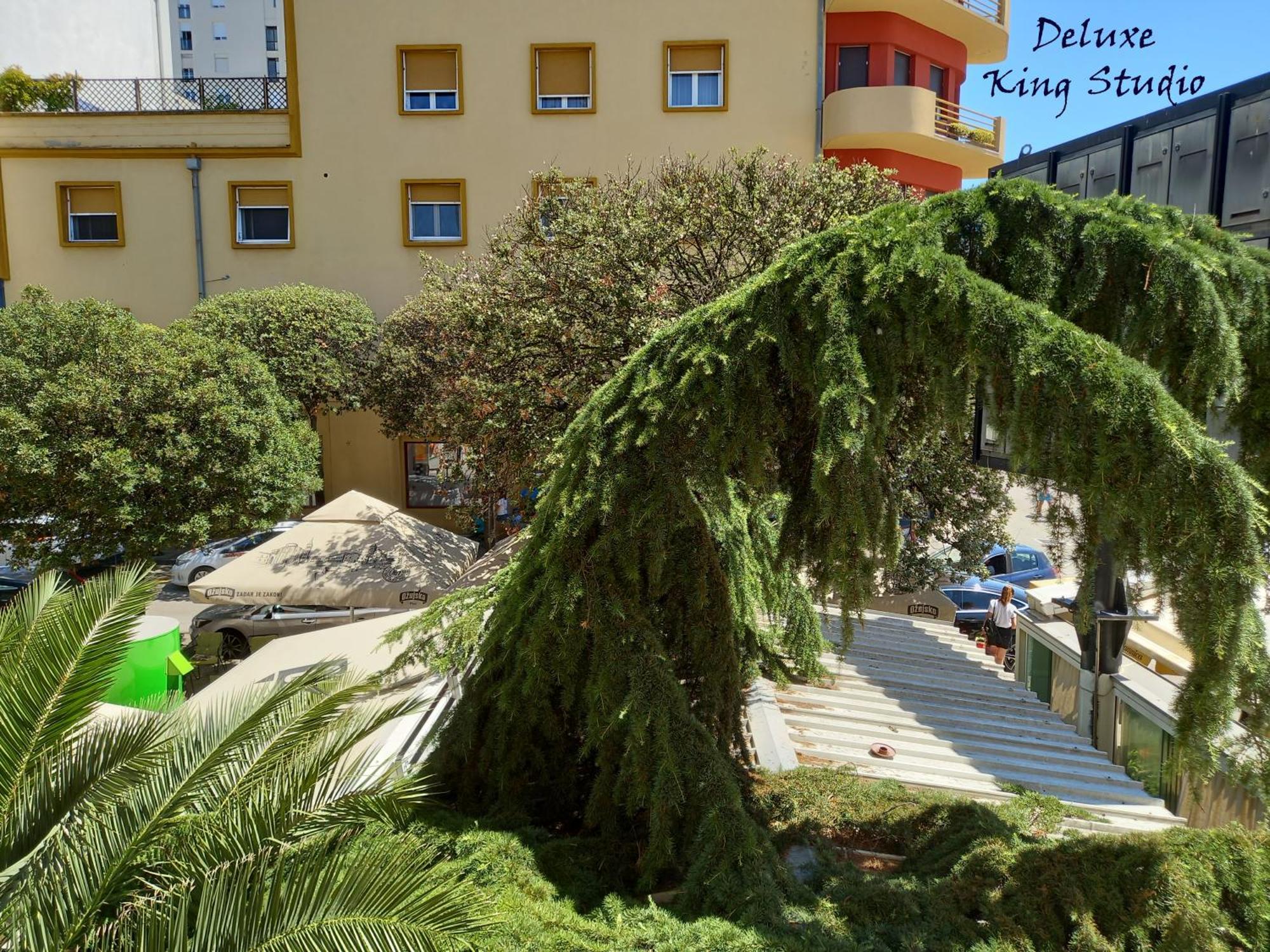 Summertime Apartments زادار المظهر الخارجي الصورة